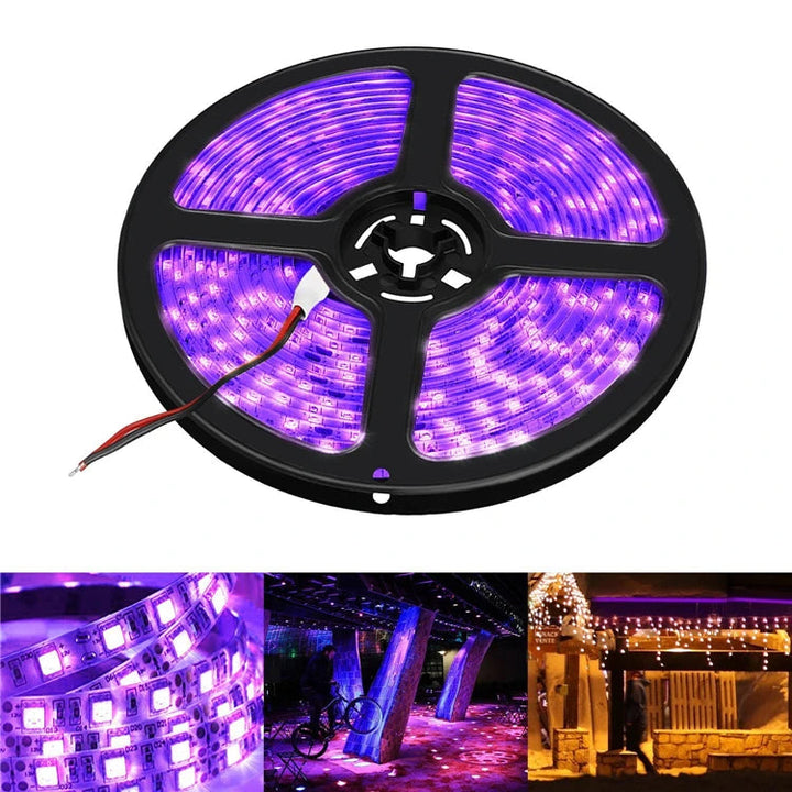 Purple LED  Strip Lights